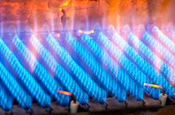 Cholderton gas fired boilers